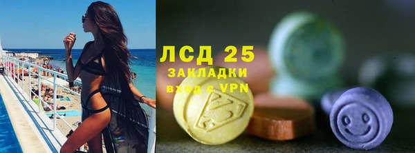 таблы Богородицк
