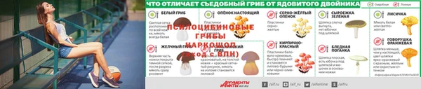 герыч Богородск