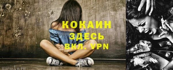 твердый Белокуриха