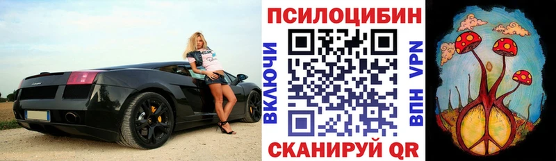 гидра ССЫЛКА  Могоча  Галлюциногенные грибы прущие грибы 